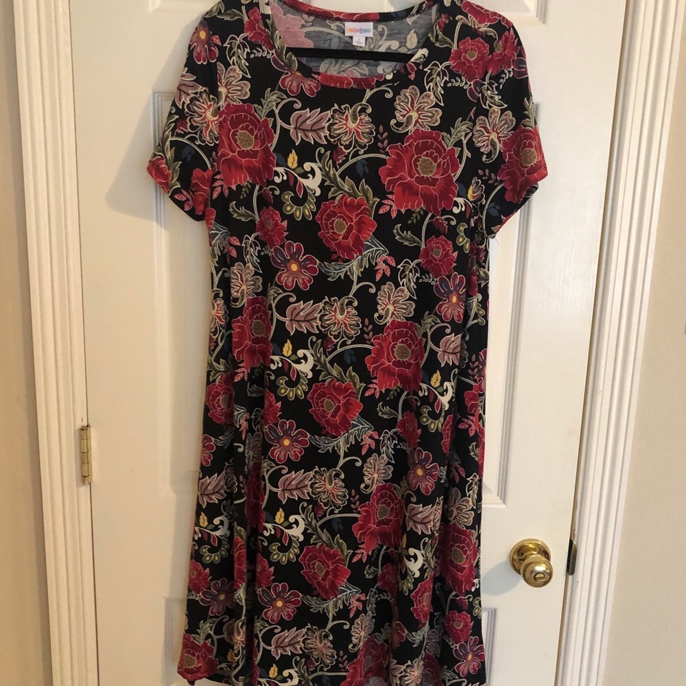LuLaRoe Carly dress